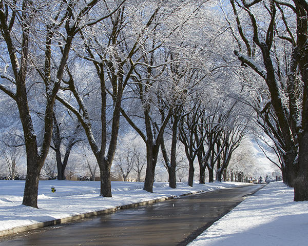 Winter Campus Image